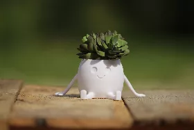 Printed Happy Succulent Planter